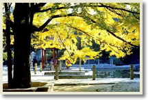 Badachu Park + Summer Palace Day Tour